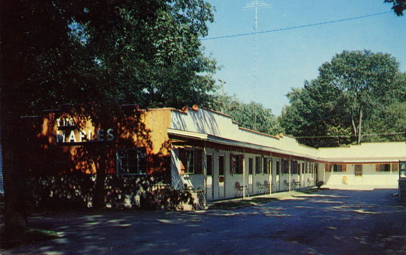 Maple Tree Inn (Maples Motel) - Vintage Postcard (newer photo)